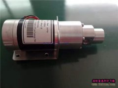 磁力齿轮泵型号LY87BDC12VW
